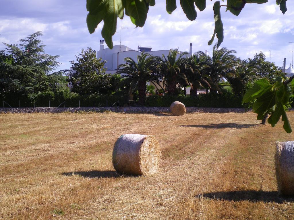 B&B Valle D'Itria Martina Franca Zewnętrze zdjęcie